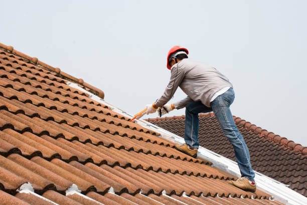 Best Roof Maintenance and Cleaning  in Lawrenceville, GA